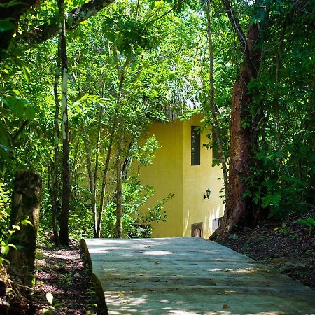 Amber Sunset Jungle Resort San Ignacio Exterior foto
