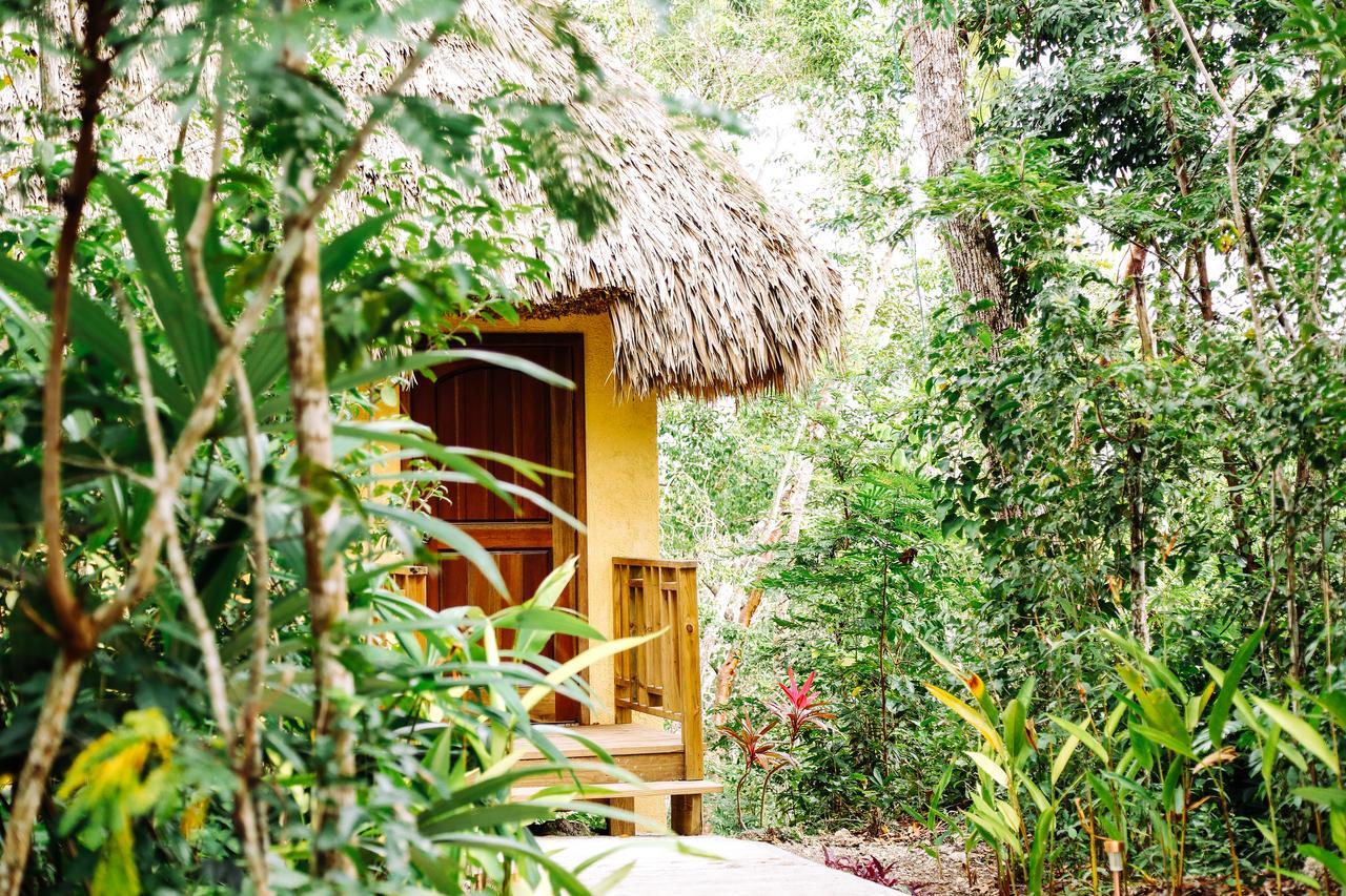 Amber Sunset Jungle Resort San Ignacio Exterior foto