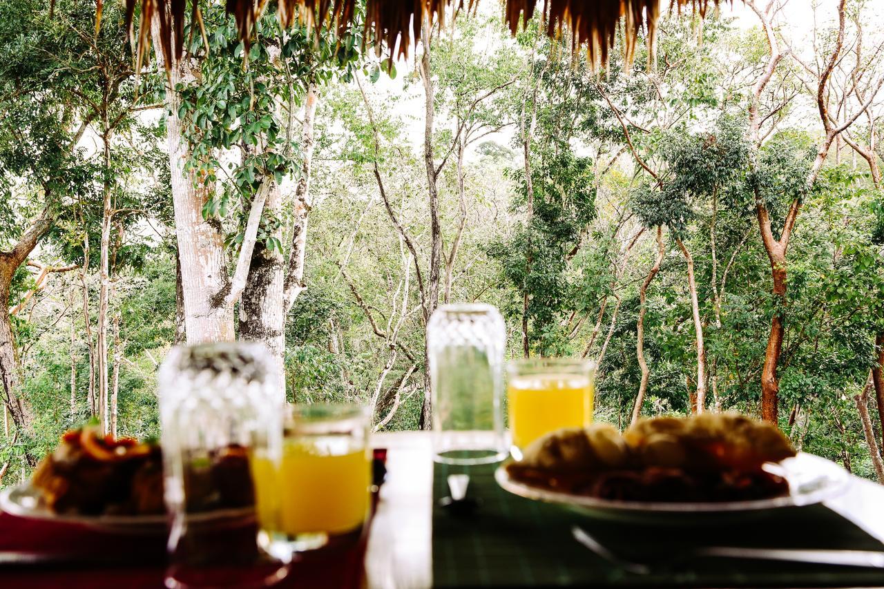 Amber Sunset Jungle Resort San Ignacio Exterior foto